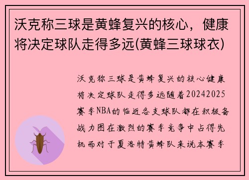 沃克称三球是黄蜂复兴的核心，健康将决定球队走得多远(黄蜂三球球衣)
